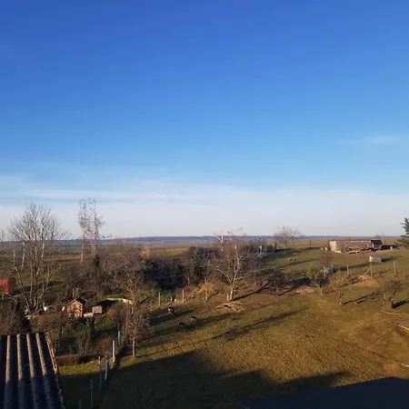 Harznester - Nest Am Schloss *